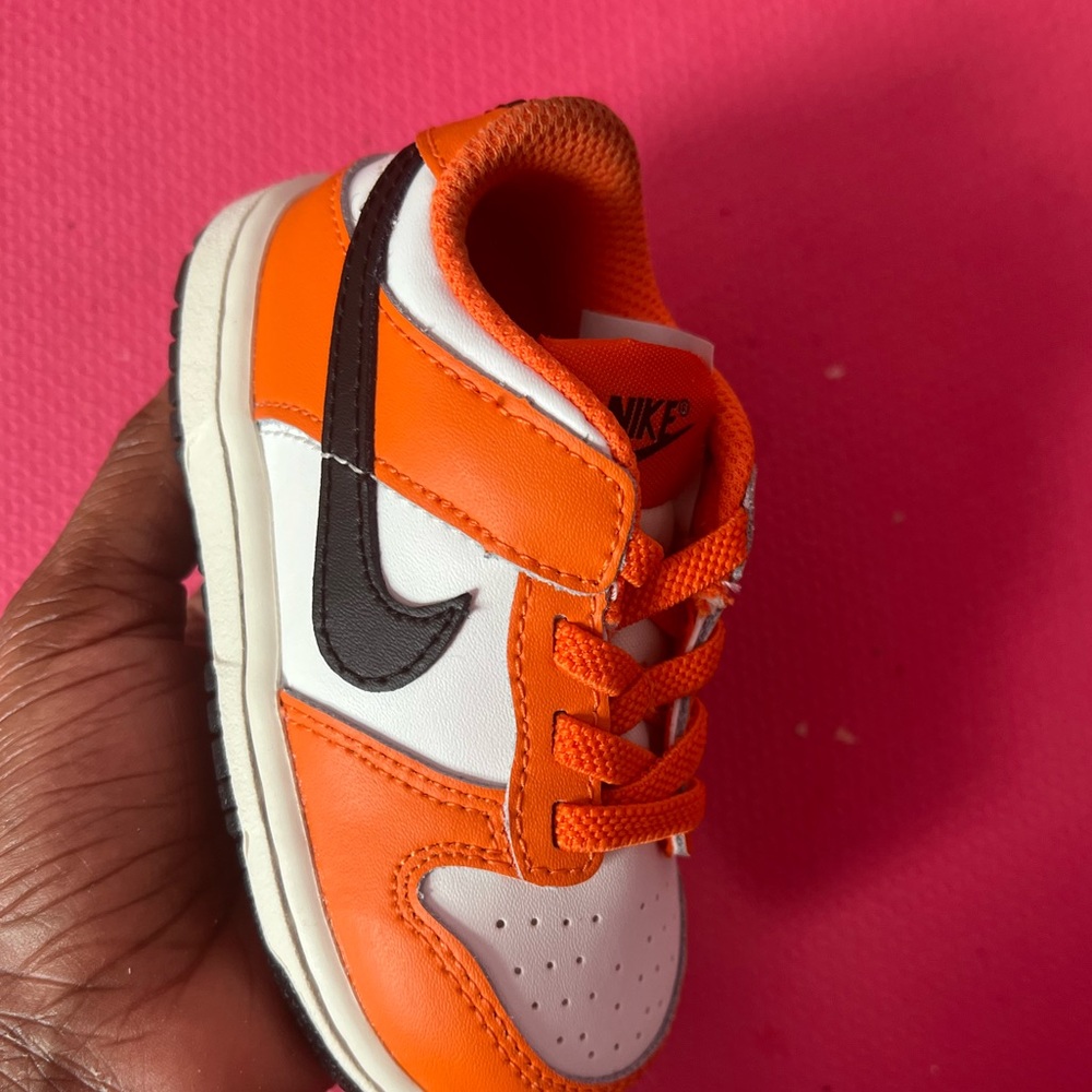 Nike toddler dunk
